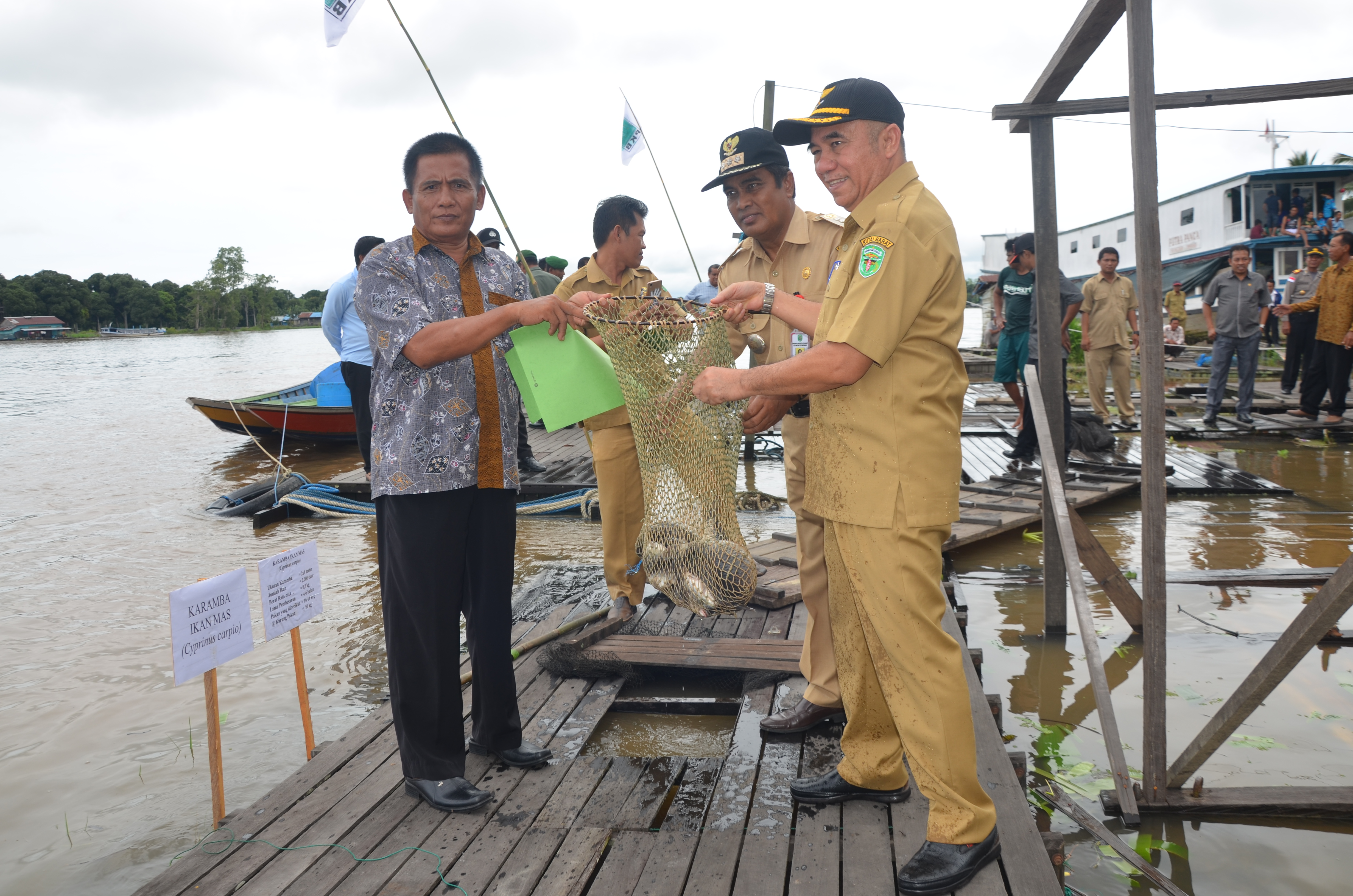 Usaha Perikanan di Penyinggahan, Jadi Primadona dan Menjanjikan